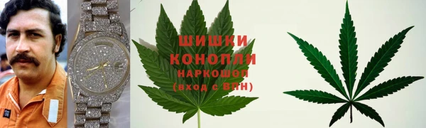 стаф Осинники