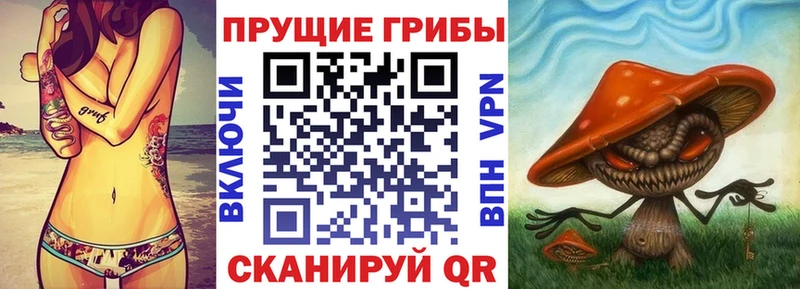 Галлюциногенные грибы прущие грибы blacksprut вход Сурск